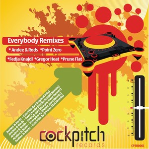 Everybody (Fedja Knajdl Remix)
