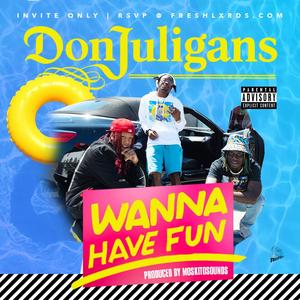 Wanna Have Fun