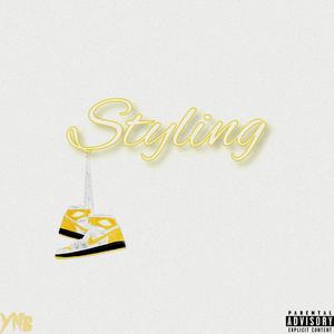 Styling (feat. D'Anthony & Armanti) [Explicit]