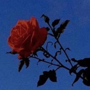 All My Demons (feat. Emo Fruits & Cxrter) (Explicit)