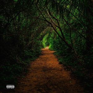 Jungle (Explicit)