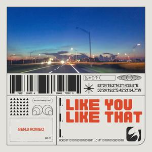 Like You Like That (Explicit)