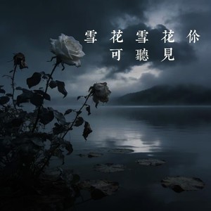 雪花雪花你可听见 (共度情殇合唱版)