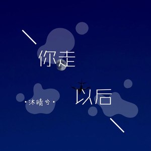 你走以后