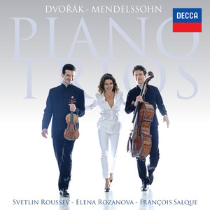 Piano Trio No. 1 in D Minor, Op. 49, MWV Q29 - 2. Andante con moto tranquillo