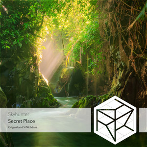 Secret Place (ViT4L Remix)