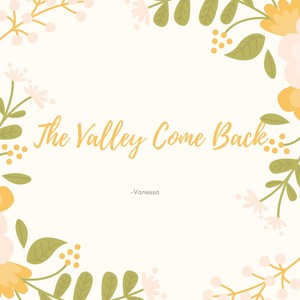 The Valley Come Back