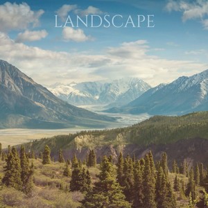 Landscape (BlauDisS Remix)