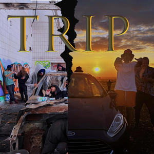 TRIP (feat. willykroll)