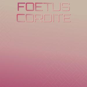 Foetus Cordite