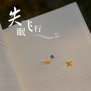 失眠飞行