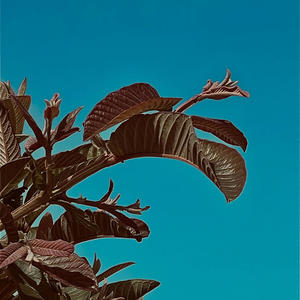 Safe with me (Explicit)