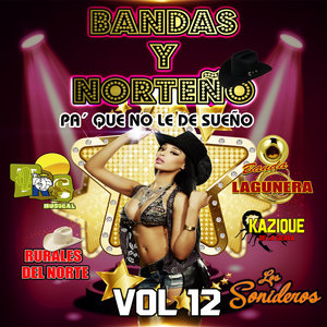 Bandas y Norteno, Vol. 12