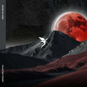 Pulsating Theory (Braynod Remix Short Version)