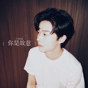 你是故意 (伴奏)