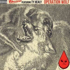 Operation Wolf