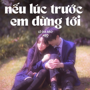 Nếu Lúc Trước Em Đừng Tới (Lofi)