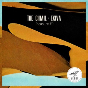 Pleasure (Original Mix)