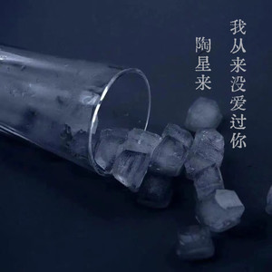 我从来没爱过你 (伴奏)