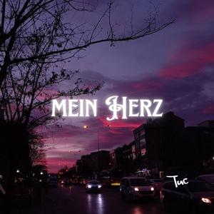 Mein Herz (original) (Explicit)