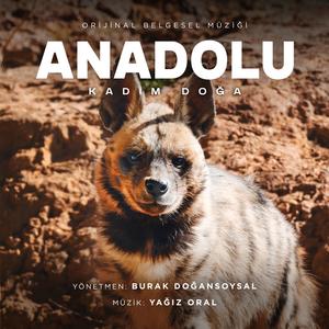 Habitatın Can Damarları