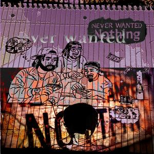 Never Wanted Nothing (feat. Julian Gross) (Explicit)