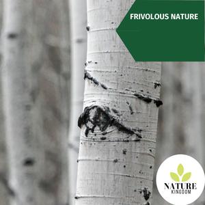 Frivolous Nature