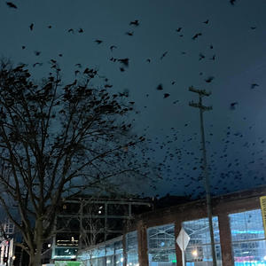 Going Ghost (feat. Itami) (Explicit)