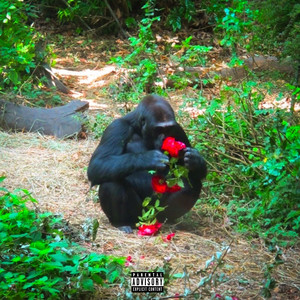 Can You Feel It (Explicit)