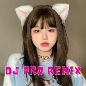 DJ KORBAN JANJI RMX