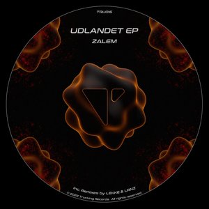 Udlandet (LEKKE Remix)