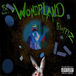 Wonderland (feat. Zoja) (Explicit)