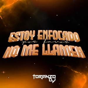 Estoy Enfocado Por Favor No Me Llamen (Radio Edit)