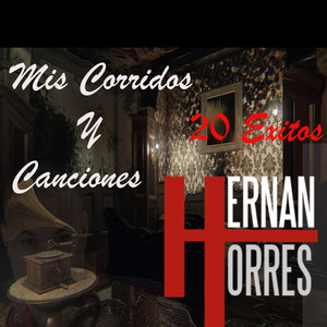 Mis Corridos Y Canciones 20 Exitos (Explicit)