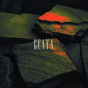 Guaya (feat. Stains, Osiris229 & Goldent Morth) (Explicit)