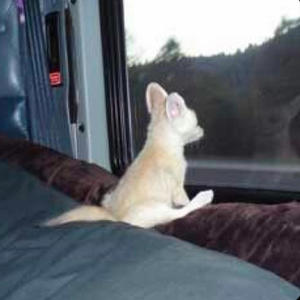 NO WAY OUT (Explicit)