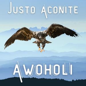 Awoholi (Explicit)