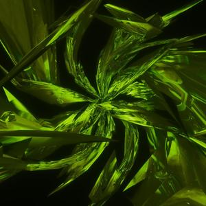 DREAMIDEMIC (Explicit)