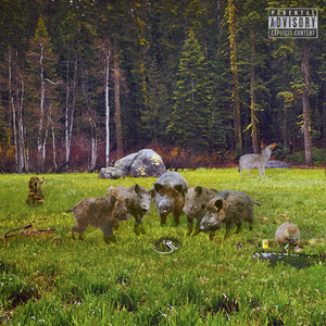 Bob& ROЁT (Explicit)