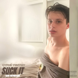 Suck It: The Remixes (Explicit)