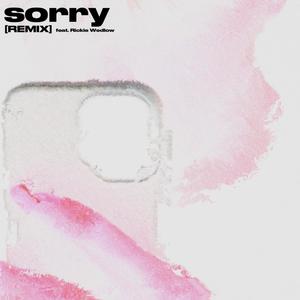 Sorry (feat. Rickie Wedlow) (REMIX|Explicit)