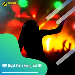 EDM Night Party Booze, Vol. 09