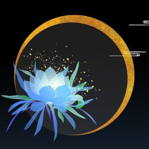 Fragrant Garden 一夜昙花香满园·唯美助眠国风钢琴曲