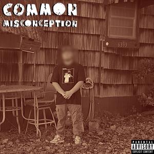 Common Misconception (Explicit)