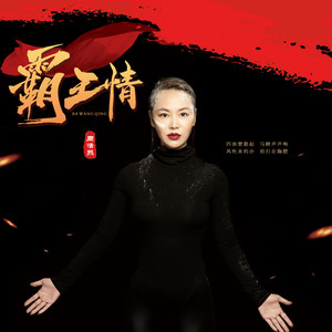 霸王情封面