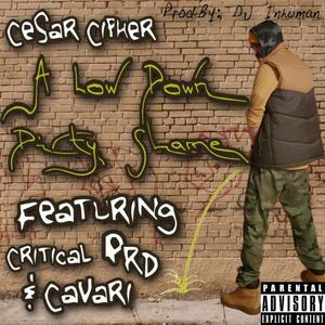 A Low Down Dirty Shame(feat. Critical, PRD & Cavari) (Explicit)
