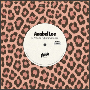 Si Antes Te Hubiera Conocido