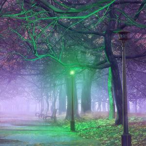 Sexy Check (feat. LIZOT, VTSS & Tourist)