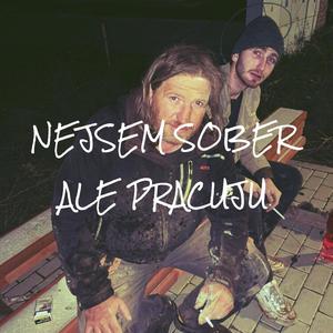 Nejsem sober, ale pracuju (Explicit)