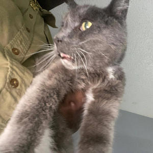 Will never need (feat. Dsan) (Explicit)